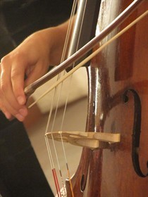 XIII Settimana della Cultura