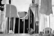 Un racconto per foto e testi dell’Orlando furioso di Vivaldi in chiave contemporanea