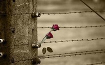 Giornata della Memoria 2020